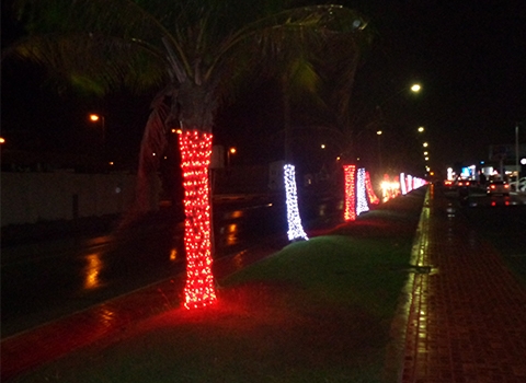 Aruba City Lighting Case