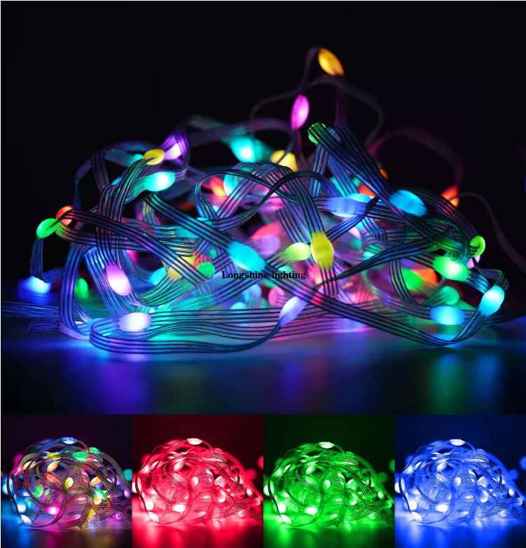 Dream Color Christmas Lights RGB Led Pixel String Light 10leds/m 5m 10m Waterproof Addressable Led String DC5V